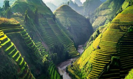 От Варна-Екскурзия до Виетнам и Камбоджа