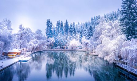 Бабинден и СПА почивка във Велинград