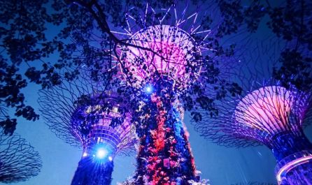 Сингапур, круиз до Тайланд и Малайзия, почивка в Бали 26.01.2026