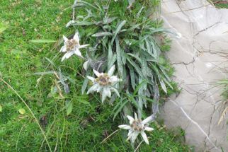 Наст. в хотели 4, 3 и 2 звезди