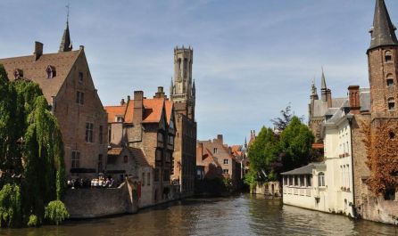 Белгия - Нидерландия