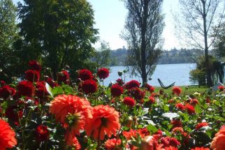 Настаняване в 2* или 3*