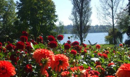 Бодензее - Баварски замъци - Залцбург - Мюнхен