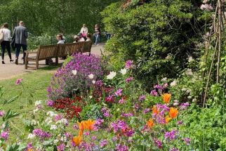 Категория A