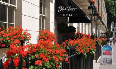 Лондон - седемдневна