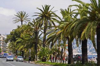 Настан. в хотел 3 или 4 звезди