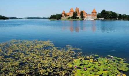 Прибалтика и Полша