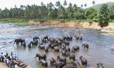 Шри Ланка от Варна