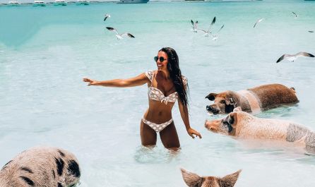 Бахамите – кристално синя вода, страхотни плажове и веселите прасета!