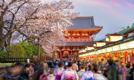 Екскурзия в ЯПОНИЯ - Токио, Фуджи, Киото, Осака, съкровищата на Япония - с водач от България!