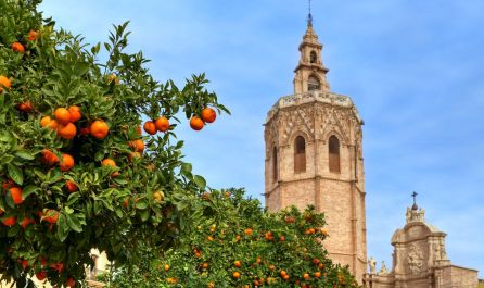 Екскурзия в ИСПАНИЯ - Валенсия - история, кухня и култура!