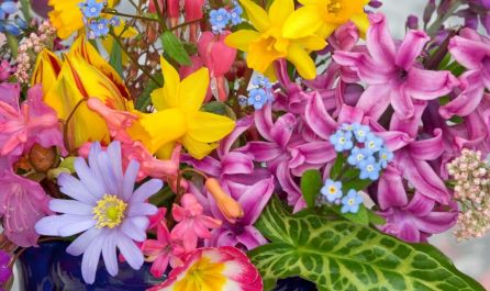 Почивка в ИСПАНИЯ - Коста Брава - със самолет, на български език! Директен полет от ВАРНА!