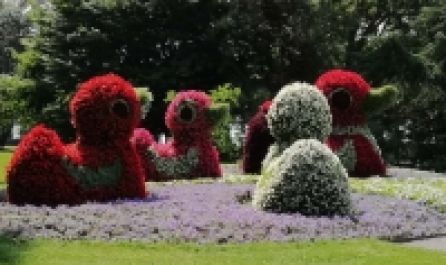 ГЕРМАНИЯ - долината на река Рейн – комбинирано пътуване със самолет и автобус!