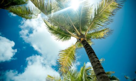 САЩ - Източно и Западно крайбрежиe, с круиз по Бахамите -   10.07.2026, 14.08.2026