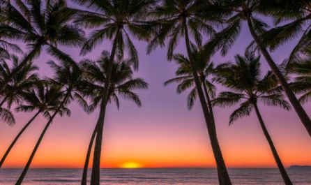 САЩ - Западно крайбрежие, с Хаваите  10.07.2026, 14.08.2026