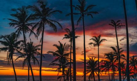 САЩ - Западно крайбрежие 09.04.2026, 12.05.2026, 23.06.2026, 22.09.2026