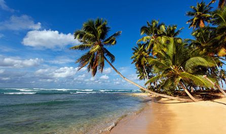 САЩ - МАЯМИ С КРУИЗ ПО БАХАМИТЕ 03.07.2026, 31.07.2026