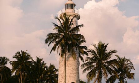 Шри Ланка  27.02.2026, 13.03.2026, 09.04.2026, 04.09.2026, 23.10.2026, 13.11.2026, 04.12.2026