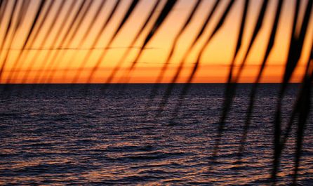 КУБА И ЯМАЙКА- II вар. 06.02.2026, 13.03.2026, 08.04.2026, 04.05.2026, 20.11.2026, 08.12.2026