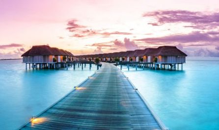 ШРИ ЛАНКА и МАЛДИВИ -ПОТВЪРДЕНА ГРУПА!  12.03.2026 ШРИ ЛАНКА и МАЛДИВИ - 2 СВОБОДНИ МЕСТА!