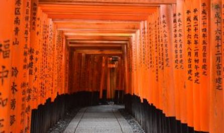 ЯПОНИЯ И СЕУЛ  16.04.2026