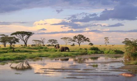 ТАНЗАНИЯ и ЗАНЗИБАР 20.02.2026, 13.03.2026, 12.06.2026, 14.08.2026, 18.09.2026, 16.10.2026, 20.11.2026, 04.12.2026