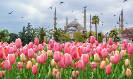 Великден в Истанбул - Фестивал на лалетата с автобус от София - 3 нощувки