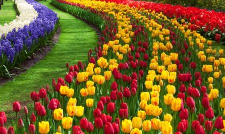 Великден в Истанбул, Турция - Фестивал на лалетата с автобус от Варна - 3 нощувки
