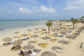 MONARQUE DAR JERBA NARJESS
