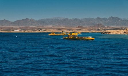 Морска приказка в Шарм Ел Шейх с полет от Варна