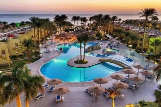 Palm Beach Resort Standard
