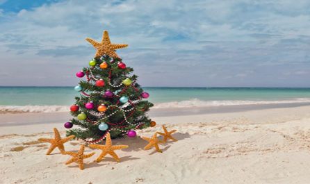 Коледа под тунизийското слънце – All Inclusive почивка в Тунис с полет от Варна