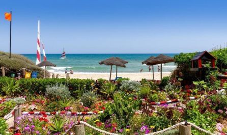 ТУНИС 2026 - 8 дни ALL INCLUSIVE почивка с дъх на екзотика - полет от Варна