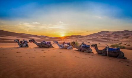 Средиземноморски Шепот - От Малага до Маракеш с полет от София 02.04