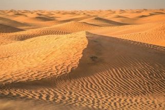 Настаняване по програмата