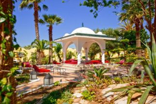 Samira Club Standard