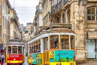 Настаняване по програмата