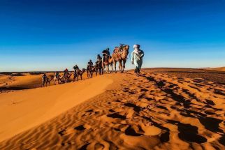 Настаняване по програмата