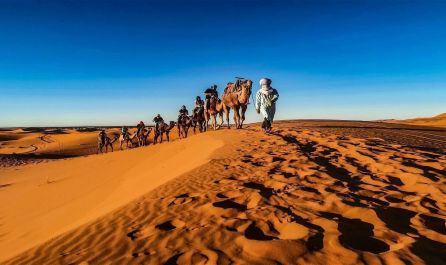 МАРОКО ОТ А ДО Я - от Маракеш до Танжер - полет от Варна 10.11