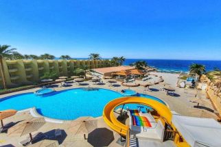 Palm Beach Resort Standard