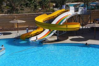Palm Beach Resort Standard