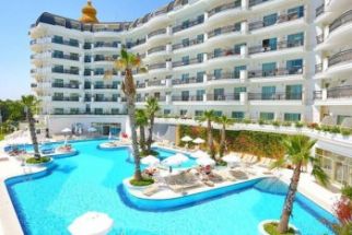 ASTERIA BLOOM SIDE (EX.SELECTUM FOR TWO SIDE)