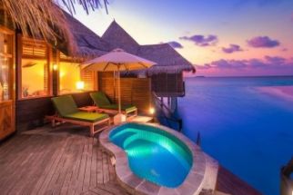 COCO PALM DHUNI KOLHU