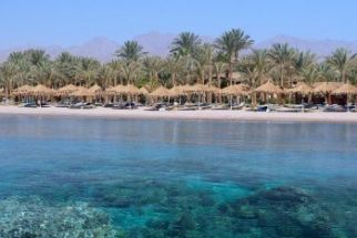 JAZ SHARM DREAMS RESORT